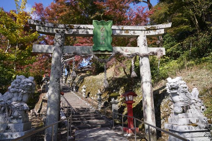 京都_紅葉_2020_桑田神社　No7