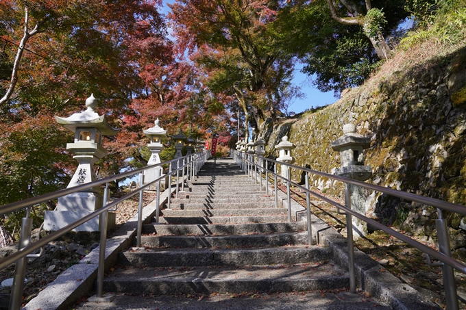 京都_紅葉_2020_桑田神社　No9