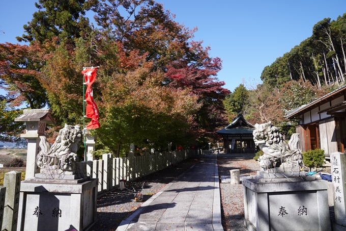 京都_紅葉_2020_桑田神社　No10