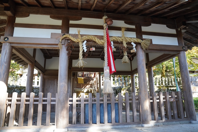 京都_紅葉_2020_桑田神社　No15