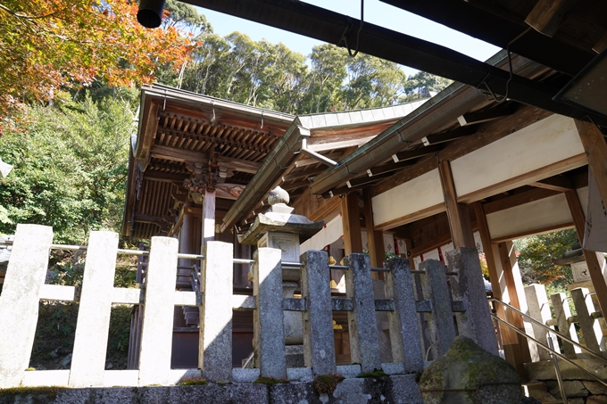 京都_紅葉_2020_桑田神社　No20