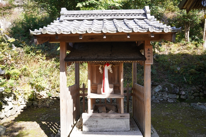 京都_紅葉_2020_桑田神社　No26