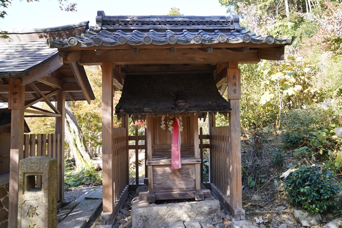 京都_紅葉_2020_桑田神社　No27