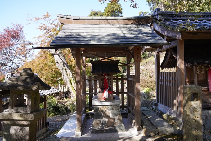 京都_紅葉_2020_桑田神社　No28