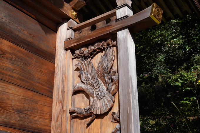 京都_紅葉_2020_桑田神社　No31