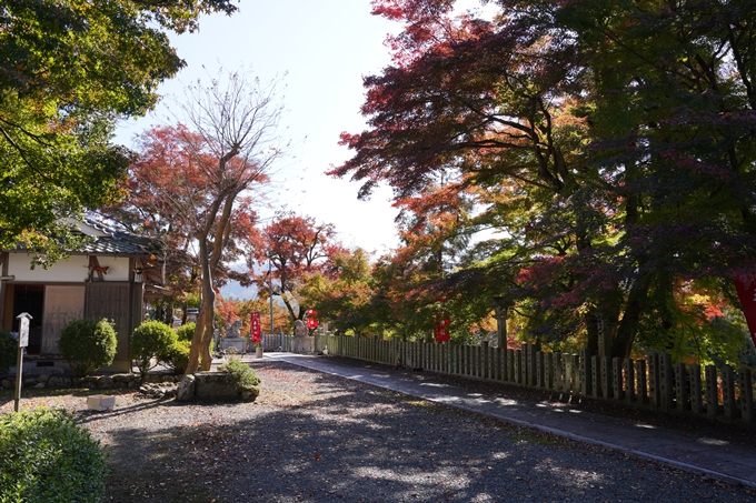 京都_紅葉_2020_桑田神社　No35