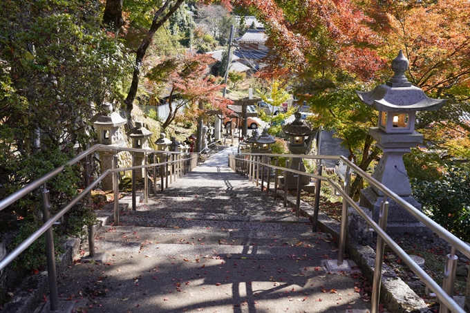 京都_紅葉_2020_桑田神社　No37