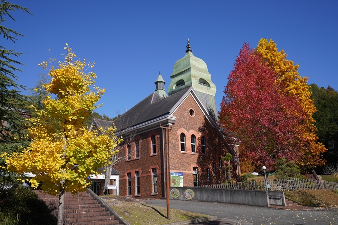 京都_紅葉_2020_亀岡市交流会館　No2