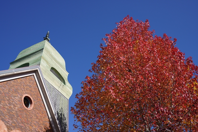 京都_紅葉_2020_亀岡市交流会館　No9