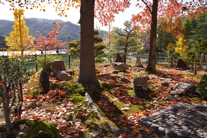 京都_紅葉_2020_亀岡市交流会館　No12