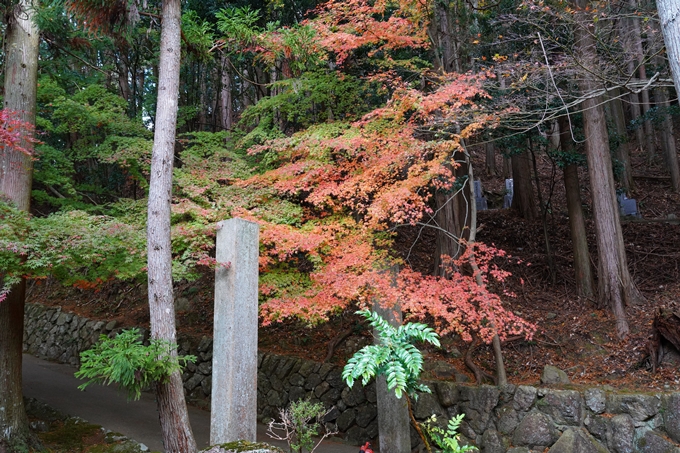 京都_紅葉_2020_法常寺　No2