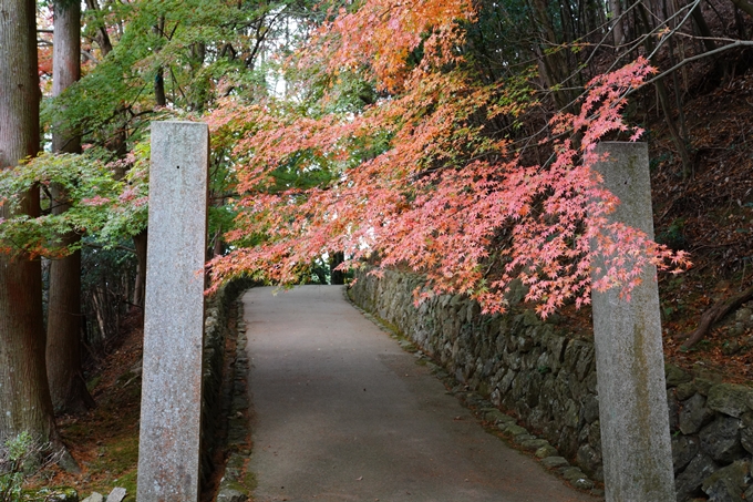 京都_紅葉_2020_法常寺　No3