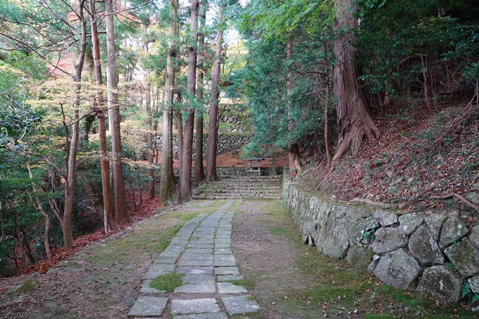 京都_紅葉_2020_法常寺　No5