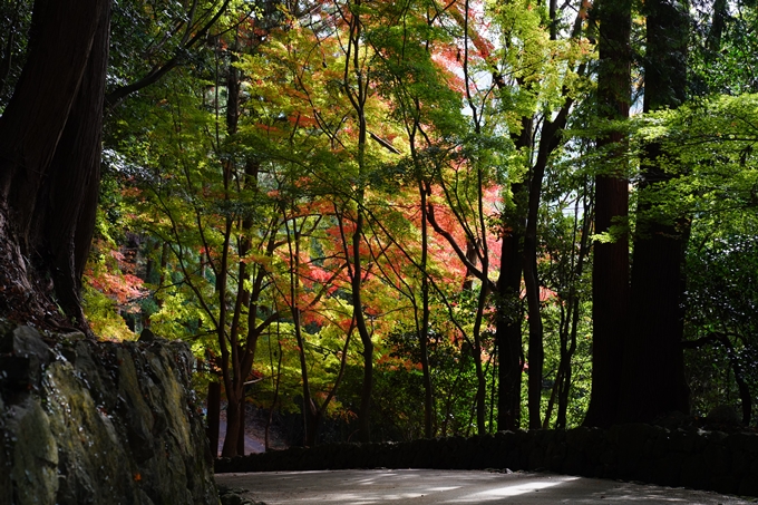 京都_紅葉_2020_法常寺　No6