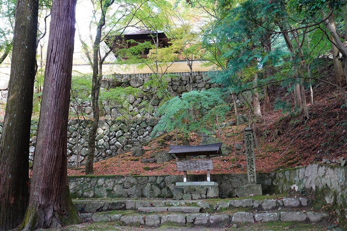 京都_紅葉_2020_法常寺　No7