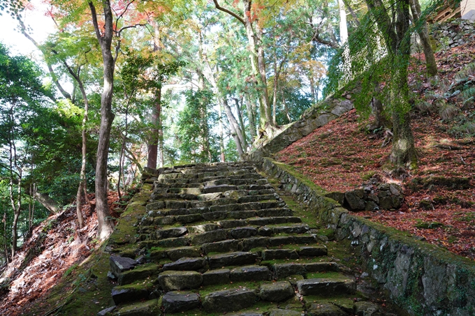 京都_紅葉_2020_法常寺　No9