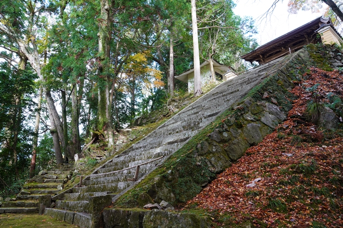 京都_紅葉_2020_法常寺　No13