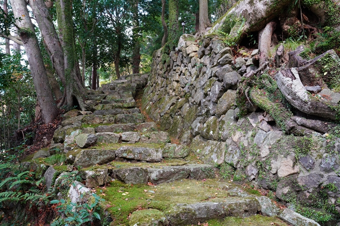 京都_紅葉_2020_法常寺　No14