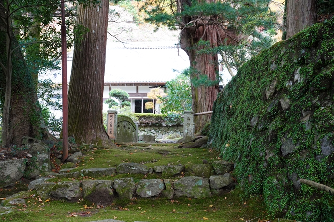 京都_紅葉_2020_法常寺　No16