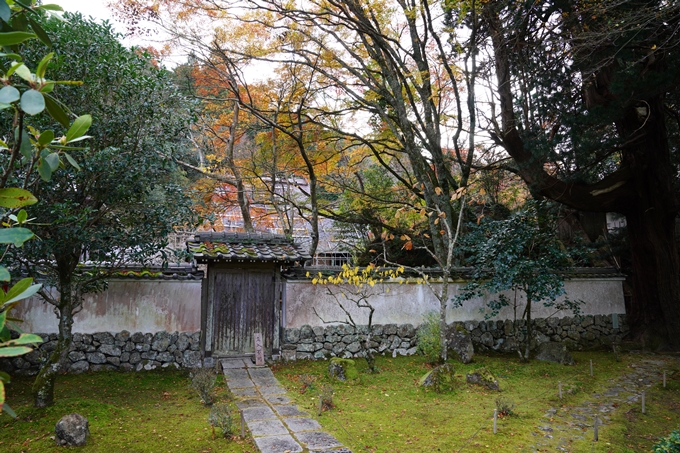 京都_紅葉_2020_法常寺　No18