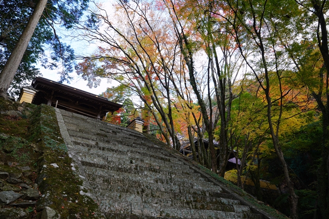 京都_紅葉_2020_法常寺　No21