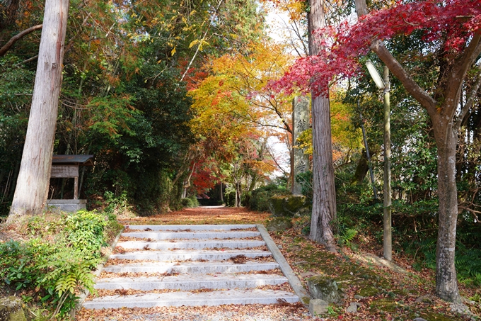 京都_紅葉_2020_龍潭寺　No3