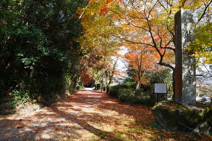 京都_紅葉_2020_龍潭寺　No5