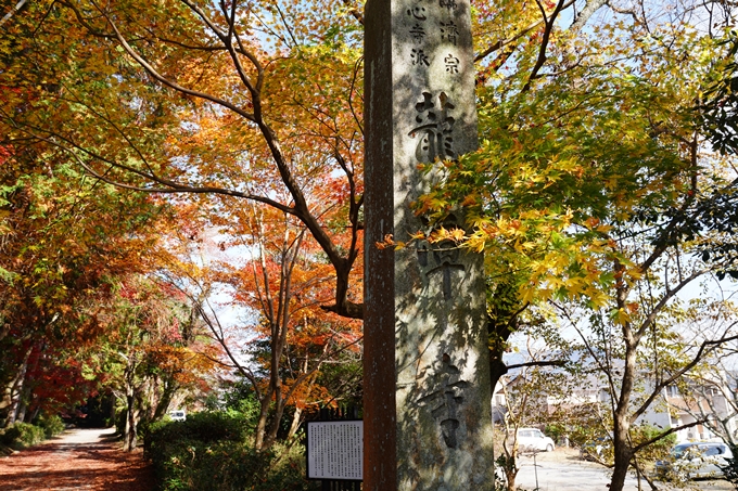 京都_紅葉_2020_龍潭寺　No8