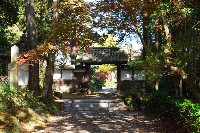 京都_紅葉_2020_龍潭寺　No11