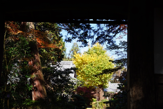 京都_紅葉_2020_龍潭寺　No15