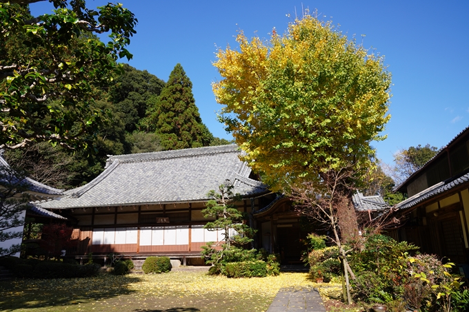 京都_紅葉_2020_龍潭寺　No16