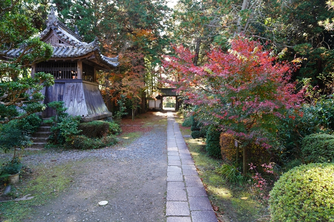 京都_紅葉_2020_龍潭寺　No20