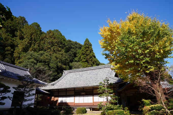 京都_紅葉_2020_龍潭寺　No21