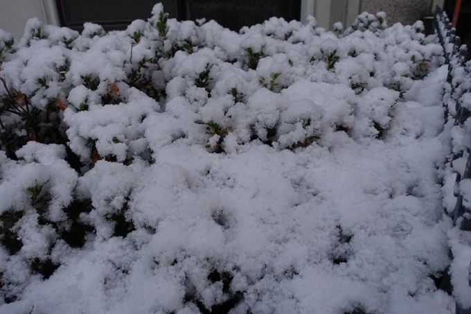 京都市内_雪景色　No4