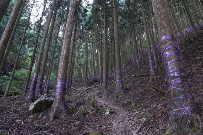 番外編_滋賀県_御池岳　No7