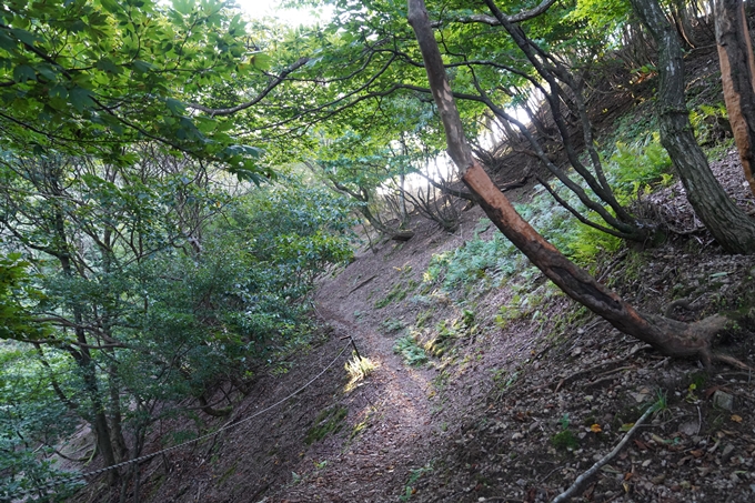 番外編_滋賀県_御池岳　No11