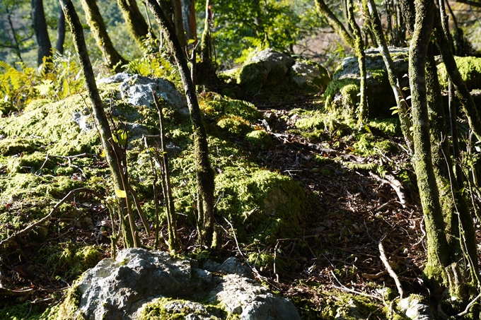 番外編_滋賀県_御池岳　No16