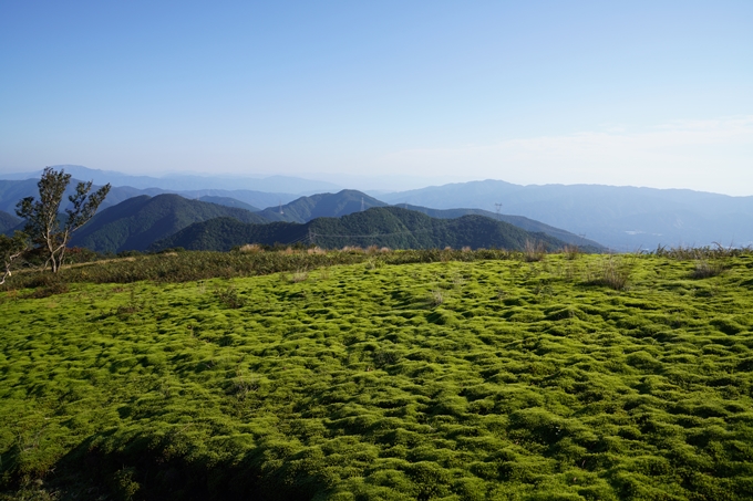 番外編_滋賀県_御池岳　No27