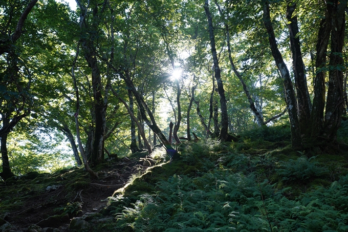 番外編_滋賀県_御池岳　No54