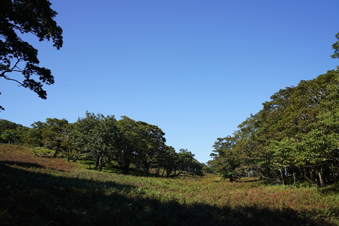 番外編_滋賀県_御池岳　No59