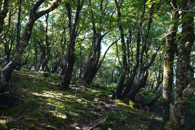 番外編_滋賀県_御池岳　No61