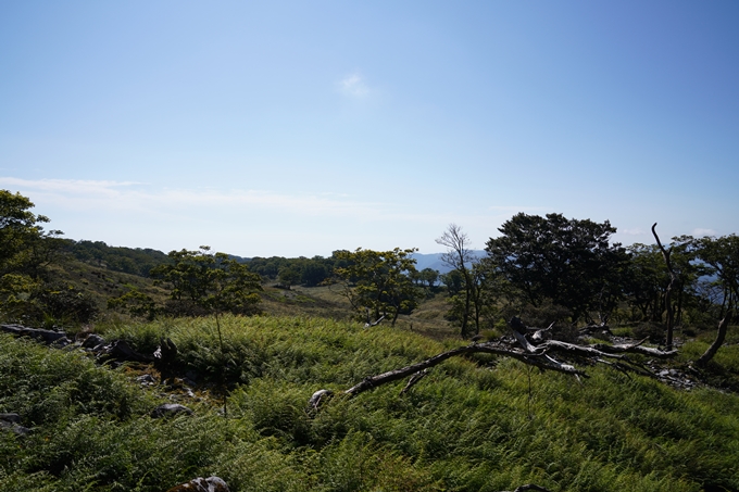 番外編_滋賀県_御池岳　No67