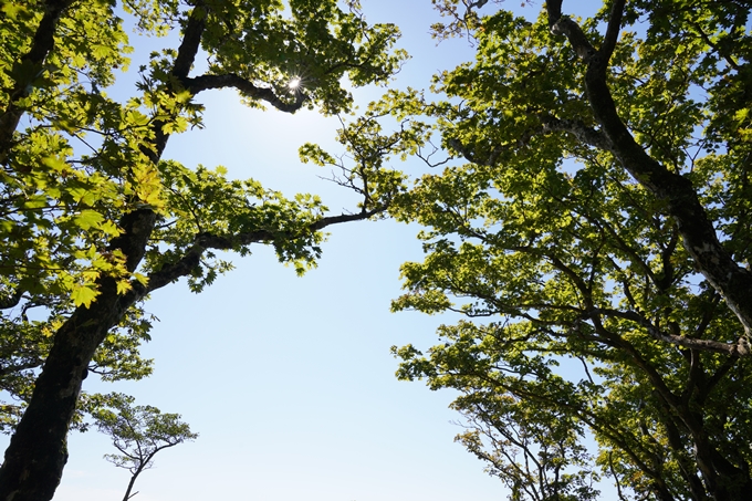 番外編_滋賀県_御池岳　No92