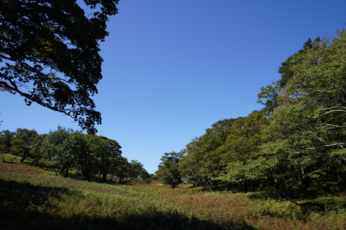 番外編_滋賀県_御池岳　No96