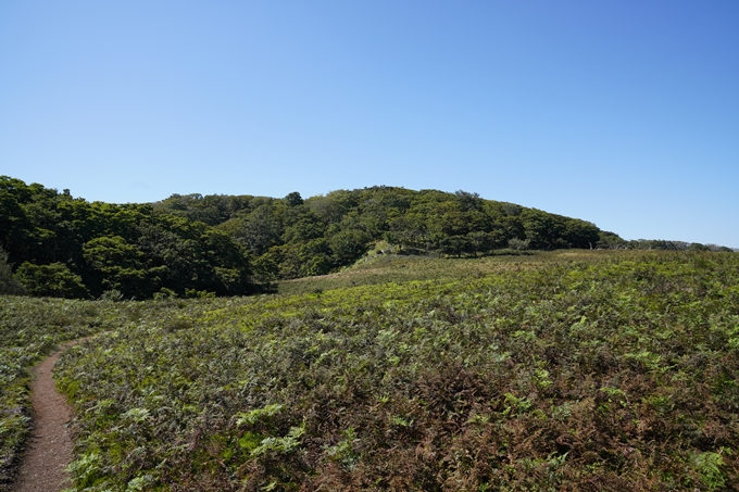 番外編_滋賀県_御池岳　No98