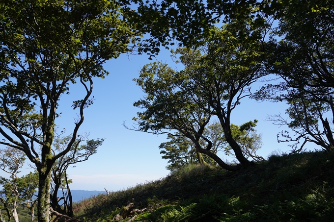 番外編_滋賀県_御池岳　No111