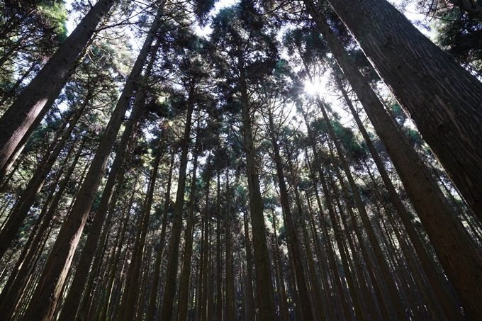 番外編_滋賀県_御池岳　No119