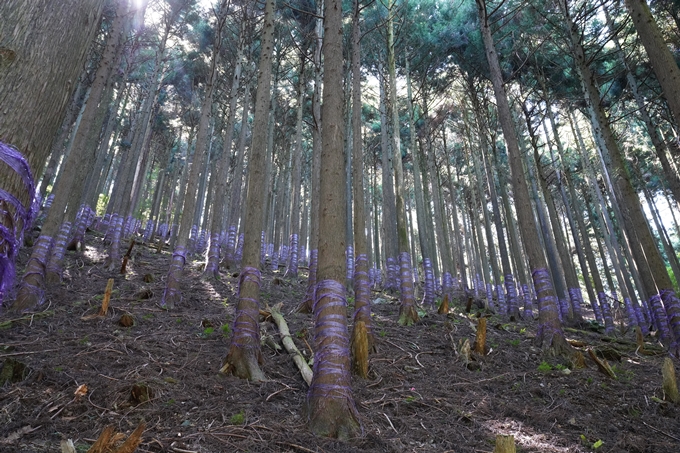 番外編_滋賀県_御池岳　No122