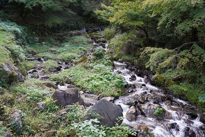 番外編_岐阜県_養老の滝　No11