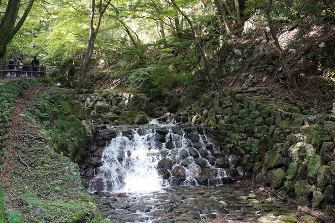 番外編_岐阜県_養老の滝　No13